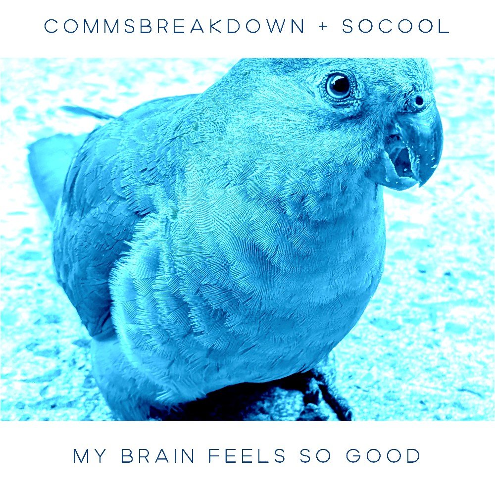 My Brain Feels So Good by CommsBreakdown + Socool